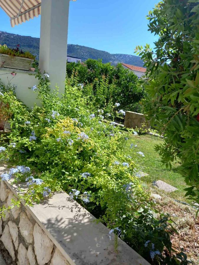 Apartman Katica Банёл Экстерьер фото